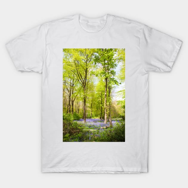 Bluebell Woods in Spring T-Shirt by GrahamPrentice